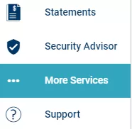 More services menu bar